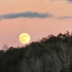 Meet your Posher, Catherine